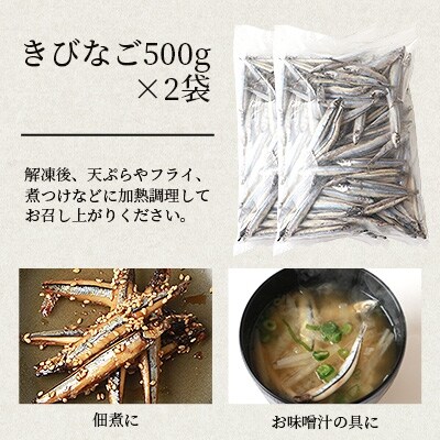 枕崎産 きびなご 合計2kg 冷凍 一夜干し 唐揚げ用 詰め合わせ お礼品詳細 ふるさと納税なら さとふる