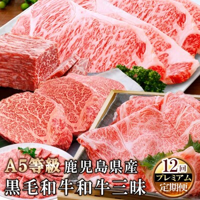 プレミアム定期便(12ケ月)A5等級鹿児島産黒毛和牛三昧