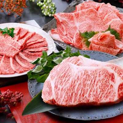 プレミアム定期便(12ケ月)A5等級鹿児島産黒毛和牛三昧