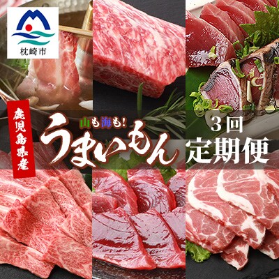 【定期便D全3回】鹿児島県産 A5黒毛和牛・黒豚・鰹 【赤身 しゃぶしゃぶ 焼肉 刺し身 たたき】