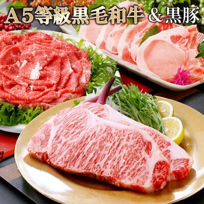 鹿児島県産A5等級黒毛和牛&黒豚