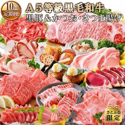 【さとふる限定】定期便(10回)鹿児島県産A5等級黒毛和牛・黒豚&かつお・さつま揚げ