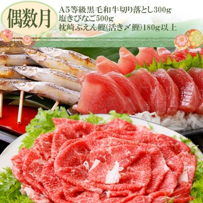 定期便(2回の配送)お楽しみ便(黒毛和牛・かつお・きびなごetc)