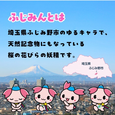 ふじみんオリジナルセットA(ぬいぐるみ小、タオル大、ストラップ)