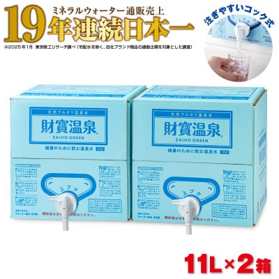 �V�R�A���J������ �������� 11L×2��