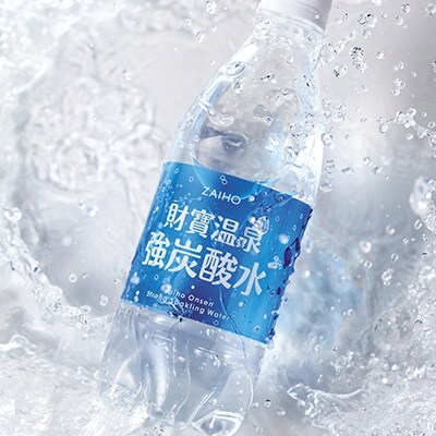 財寶温泉 強炭酸水 500ml 48本 お礼品詳細 ふるさと納税なら さとふる