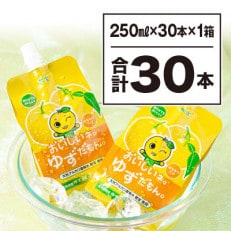 ゆずジュース250ml(パウチ)&times;30本