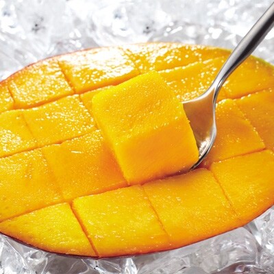 マンゴー 訳あり 温泉マンゴー1kg 温泉水で栽培した完熟マンゴー お礼品詳細 ふるさと納税なら さとふる