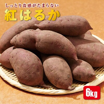 さつまいも 紅はるか 生芋 6kg しっとり甘いお芋です 10月中旬以降発送 お礼品詳細 ふるさと納税なら さとふる さつまいも 紅はるか 生芋 6kg しっとり甘いお芋です 10月中旬以降発送 お礼品詳細 ふるさと納税なら さとふる