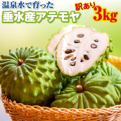 【訳あり】鹿児島産 アテモヤ 約3kg【数量限定】