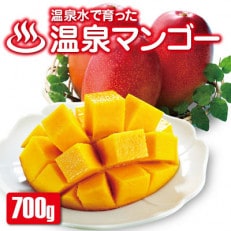 【期間限定】鹿児島産 温泉マンゴー秀品 700g 【2023年6月より順次発送】