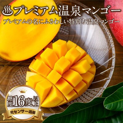 【期間限定】鹿児島産 プレミアム 温泉マンゴー 1kg 完熟 【2023年6月より順次発送】