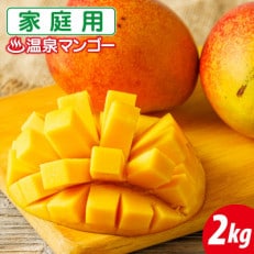 【期間限定】 訳あり 温泉マンゴー B品 2kg 【2023年6月より順次発送】 家庭用