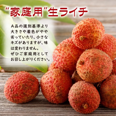 【訳あり】【期間限定】生ライチ 500g(家庭用)(垂水市)