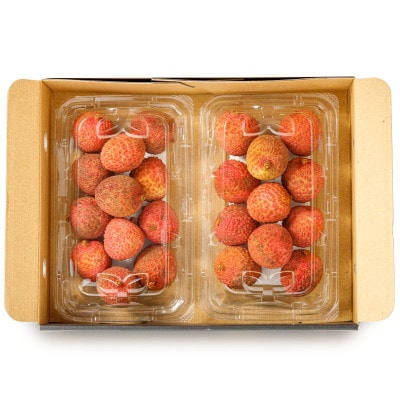 【訳あり】【期間限定】生ライチ 500g(家庭用)(垂水市)