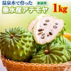 【数量限定】【訳あり】鹿児島産 アテモヤ 1kg(家庭用)