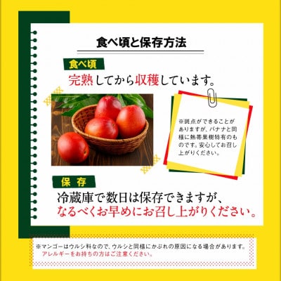 【期間限定】鹿児島産 温泉マンゴー秀品 1kg 【2024年6月より順次発送】