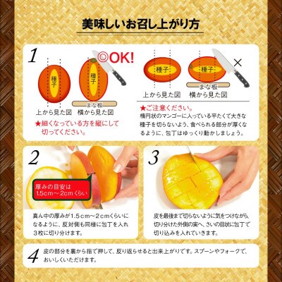 【期間限定】 訳あり 鹿児島産 温泉マンゴー 3kg 【2024年6月中旬より順次発送】