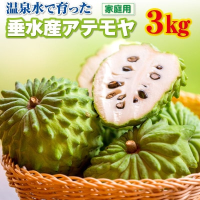 【数量限定】【訳あり】鹿児島県 垂水市産 アテモヤ 3kg(家庭用) 【財宝】