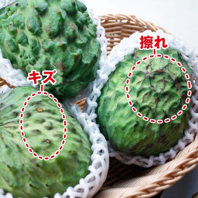 【家庭用】垂水産温泉アテモヤ 1kg 森のアイスクリーム 訳あり 【財宝】(垂水市)