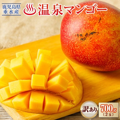 【期間限定】 訳あり 鹿児島産 温泉マンゴー 700g【2026年夏発送】(垂水市)
