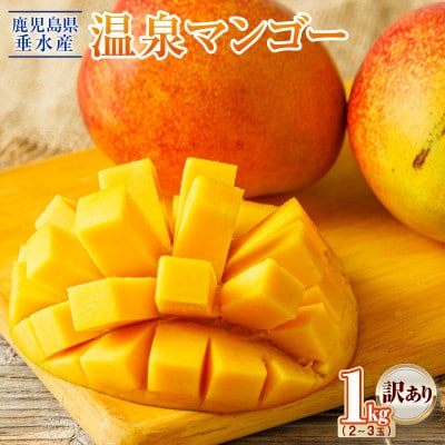 【期間限定】 訳あり 鹿児島産 温泉マンゴー 1kg【2026年夏発送】(垂水市)
