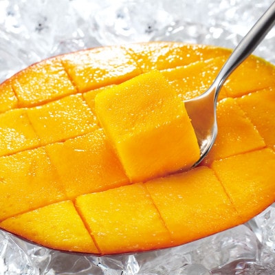 【期間限定】 訳あり 鹿児島産 温泉マンゴー 2kg【2026年夏発送】(垂水市)