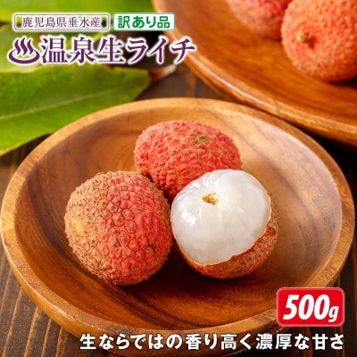 【 訳あり品 】【 期間限定 】生ライチ500g 温泉水で育てた希少な国産ライチ!