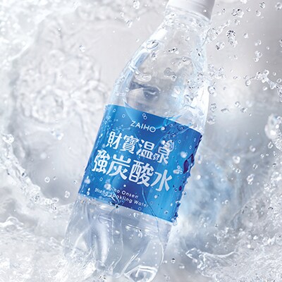 【毎月定期便】財寶温泉　強炭酸水500ml×24本 全6回