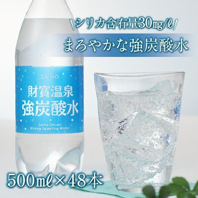 【発送月固定定期便】4/5/6月届 財寶温泉 強炭酸水 500ml×48本(垂水市)全3回