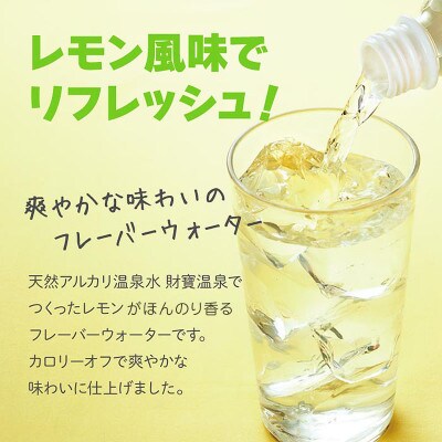 【2ヵ月毎定期便】財寶温泉 レモン水(500ml×48本)レモンフレーバーウォーター(垂水市)全3回