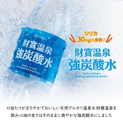 【2ヵ月毎定期便】財寶温泉強炭酸水500ml×24本(垂水市)全3回