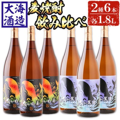 大海酒造　麦焼酎 1800ml×6本セット　E5-2584