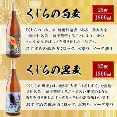 大海酒造　麦焼酎 1800ml×6本セット　E5-2584
