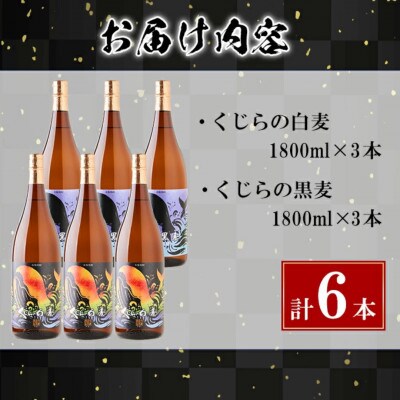 大海酒造　麦焼酎 1800ml×6本セット　E5-2584