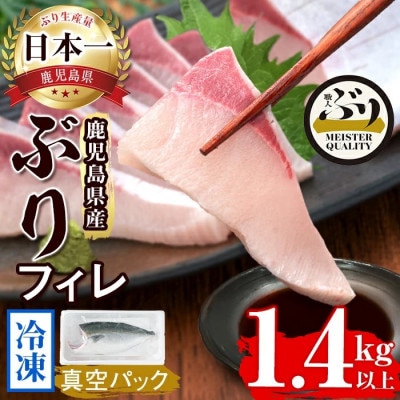 【鹿児島産ぶり】 冷凍 ぶり フィレ (半身1枚) 【アクアブルー】