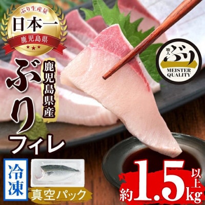 【鹿児島産ぶり】 冷凍 ぶり フィレ (半身1枚) 【アクアブルー】B2-4774