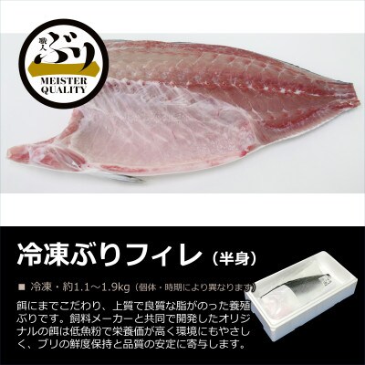 鹿児島産ぶり 冷凍ぶりフィレ 半身1枚 お礼品詳細 ふるさと納税なら さとふる