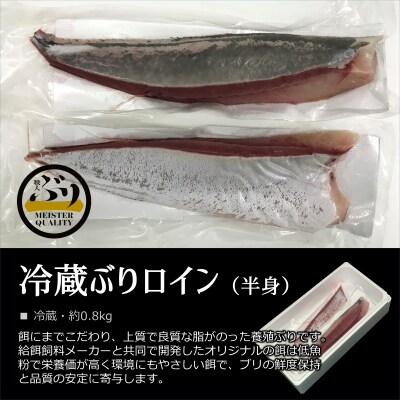 鹿児島産ぶり 冷蔵ぶり柵 2本 お礼品詳細 ふるさと納税なら さとふる