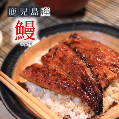 【鹿児島産】うなぎ蒲焼 2尾(冷凍)