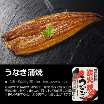 鹿児島産】うなぎ蒲焼 3尾(冷凍) | 鹿児島県垂水市 | ふるさと