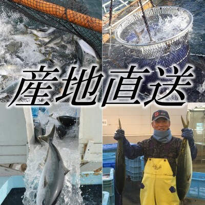 【鹿児島産ぶり】ぶりタタキ(3パック)