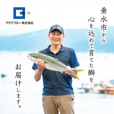 【鹿児島産ぶり冷凍】漬け焼き魚 照り焼き 計700g 【アクアブルー】 A1-47147