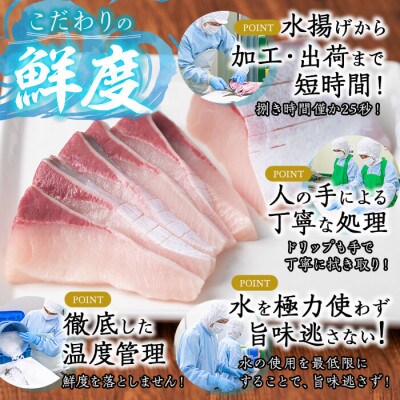 【鹿児島産】冷蔵ぶり 皮無ポーション(背腹計4p) 計約700g【アクアブルー】