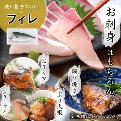 【鹿児島産】冷蔵・ぶりフィレ(半身1枚) 約1kg【アクアブルー】