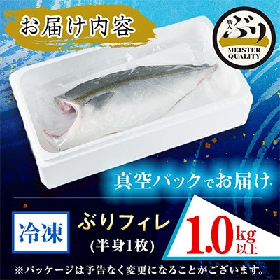 【鹿児島産】冷凍ぶり フィレ(半身1枚) 約1kg【アクアブルー】