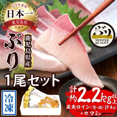 【鹿児島産】冷凍ぶり 1尾セット(皮無ロイン背腹計4p、カマ2p)【アクアブルー】D4-4705