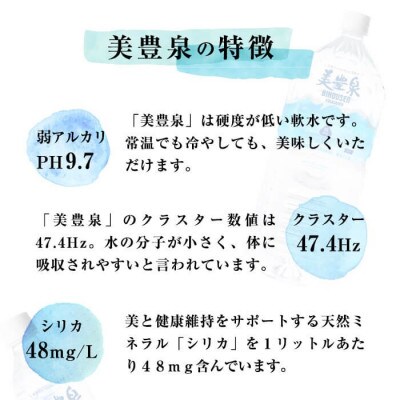 飲む温泉水 美豊泉 12L×2箱 計24L A1-1404