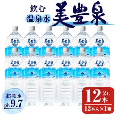 飲む温泉水 美豊泉 2L×12本 計24L A1-1404