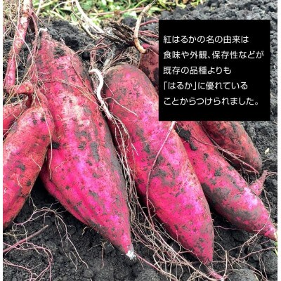 蜜焼き芋2kg(500g×4袋) 紅はるか 鹿児島産(垂水市)